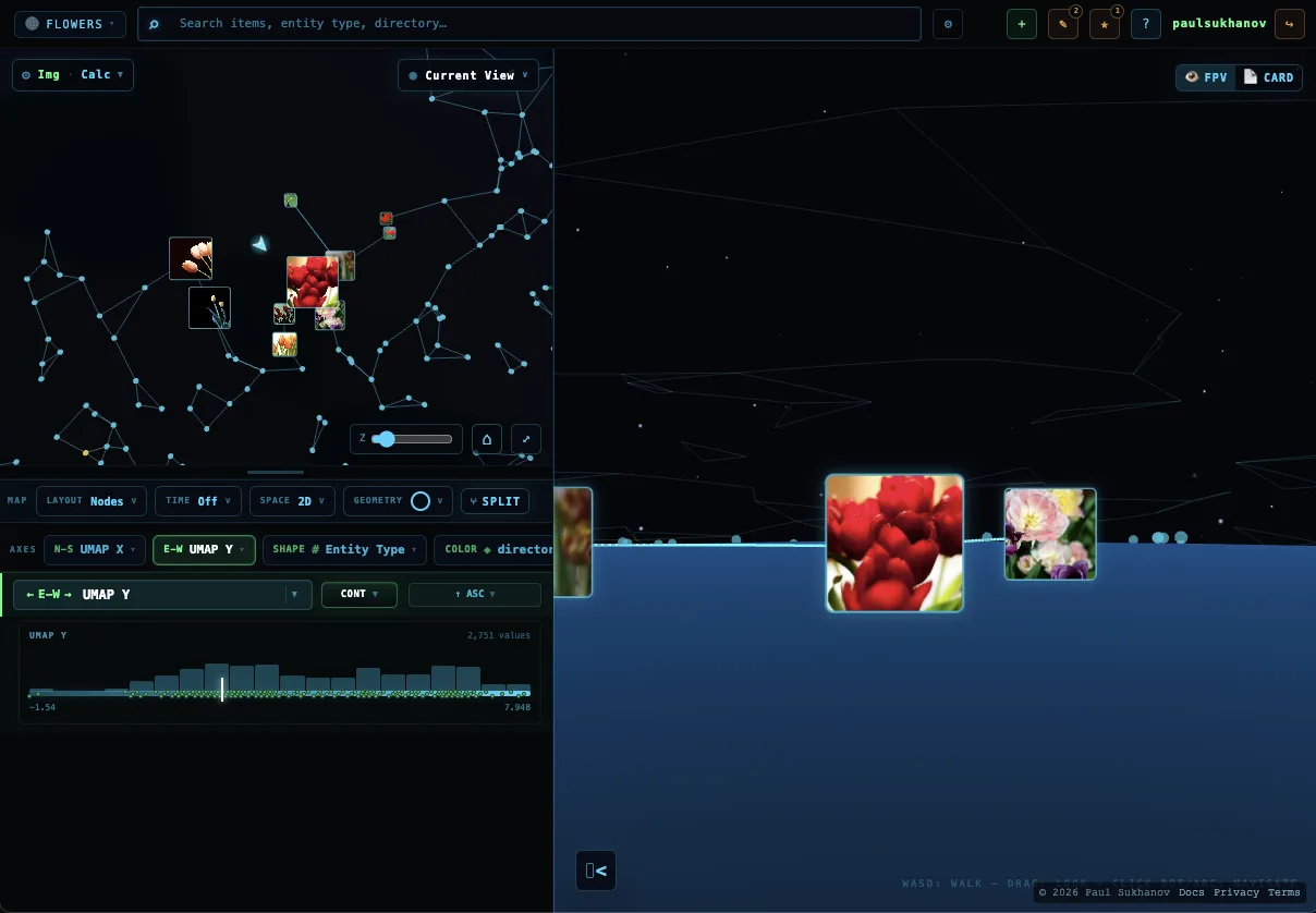 Cronologies showing a flower image universe as a map and in first-person view